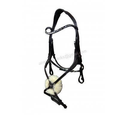 Leather Bridle 